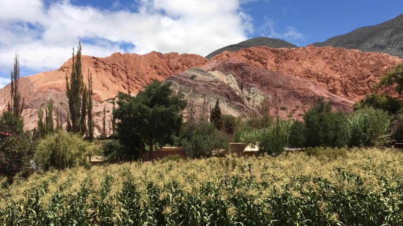 Colores De Purmamarca Bagian luar foto